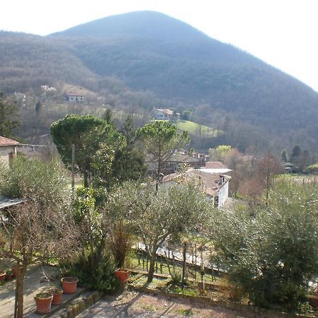 Locanda-Trattoria Al Rio Cinto Euganeo Екстер'єр фото