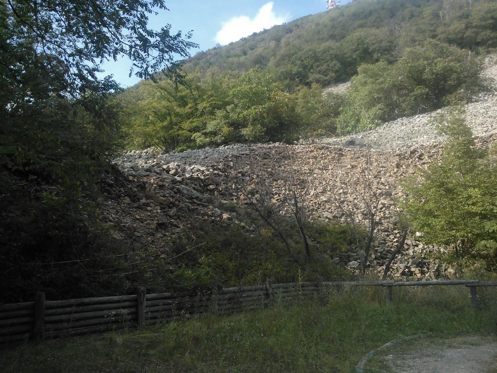 Locanda-Trattoria Al Rio Cinto Euganeo Екстер'єр фото